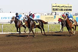 شادويل تدشن سباقات جبل علي للخيول اليوم