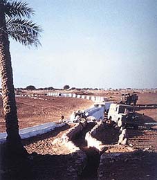 واحات العين .. جنة الماضي ومتنفس الحاضر