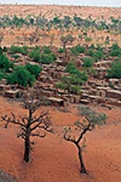 من يدفع تكلفة المواجهة ؟