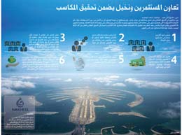 3 خيارات أمام المستثمرين في مشاريع نخيل المؤجلة
