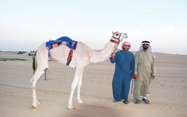 مهرجان الذيد في نسخته الرابعة يخطف الأضواء