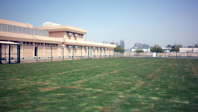 "أرضيات عشبية"