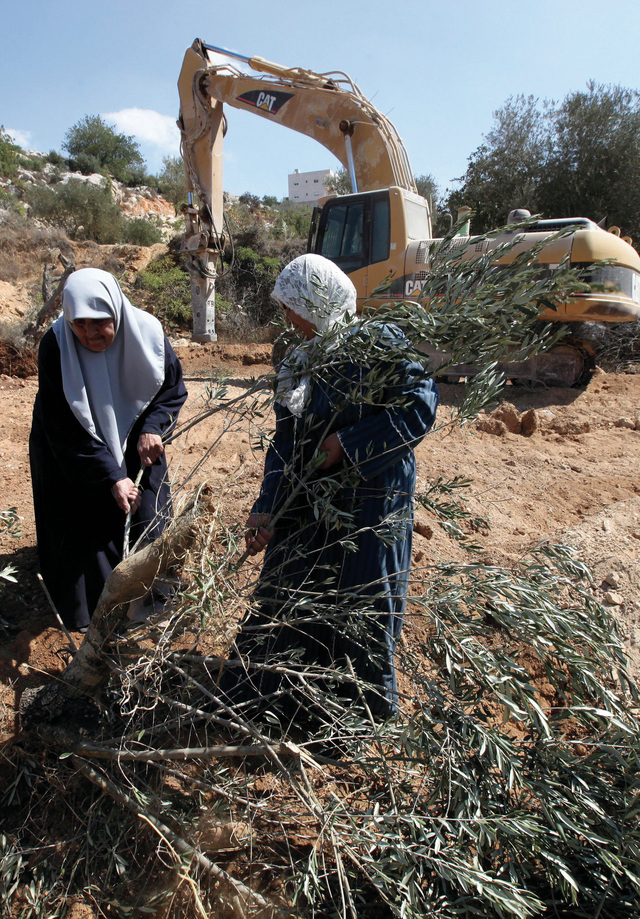 الشاباك: اعتداءات المستوطنين تتصاعد ضد الفلسطينيين