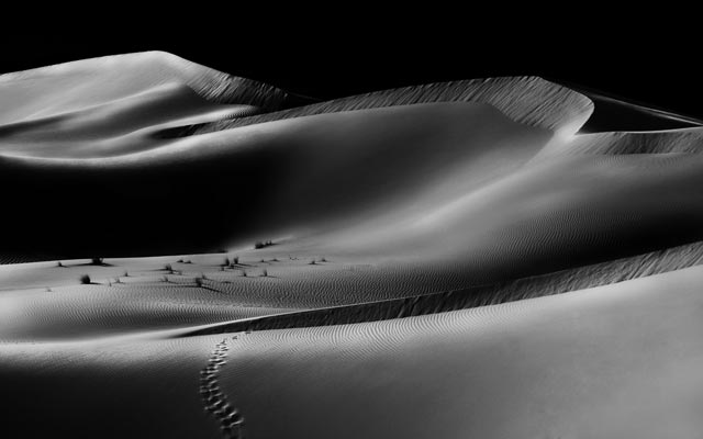 "عمل المصور الإماراتي عتيق الهاملي"