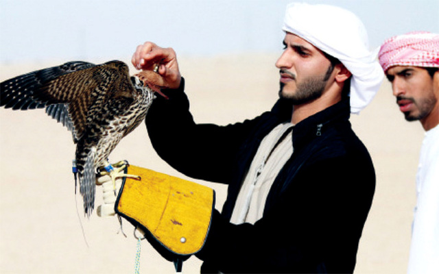 "من منافسات اليوم الختامي"
