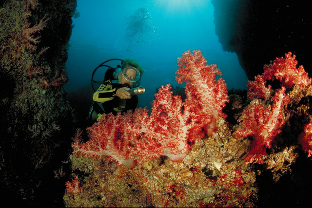 "الجامع الأكبر في مسقط"