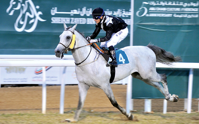 "(صنادق) بطل الجولة الرابعة عشرة لكأس الوثبة"