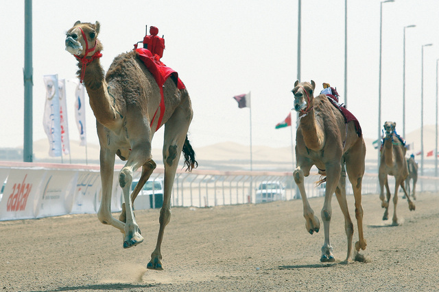 "لحظة الوصول إلى خط النهاية"