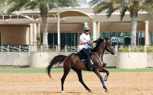 "حمدان بن محمد شارك في السباق"