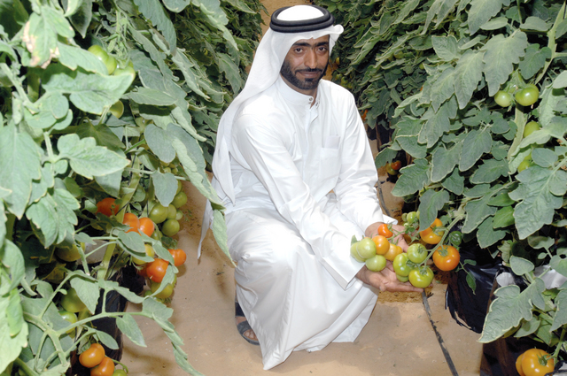 "نماذج من انتاج مزرعة يافور"