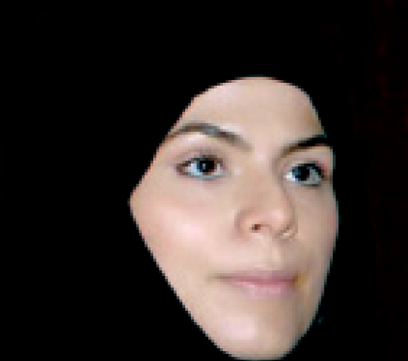 "علياء الهرمودي: النظام لا يقتصر فقط على منطقة دبي الساحلية لكنه امتد ليشمل كامل الخليج العربي"