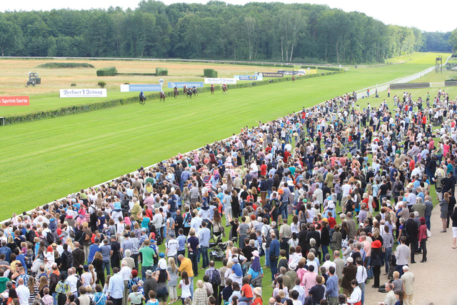 "مهرجان منصور بن زايد يواصل نجاحاته في أوروبا"