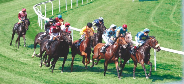 "من مهرجان منصور بن زايد العالمي"