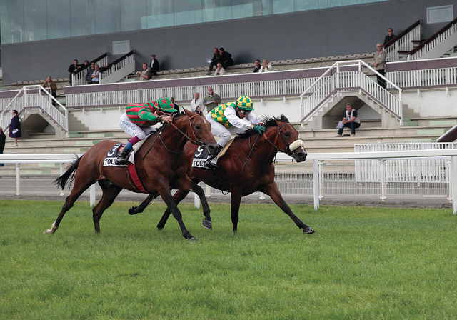 "راسخ مرشح فوق العادة\t( من المصدر)"