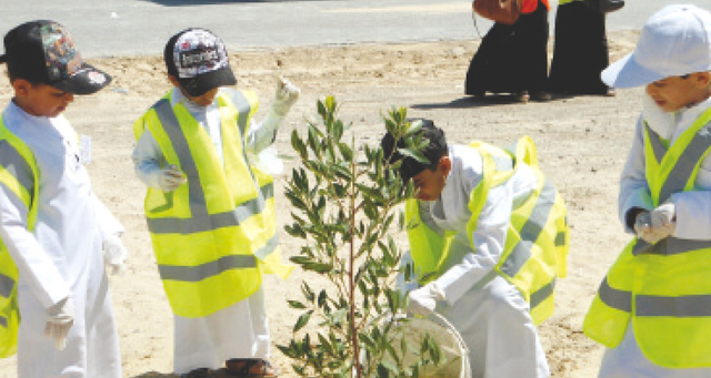 "مشاركة في زراعة شتلات الأشجار"