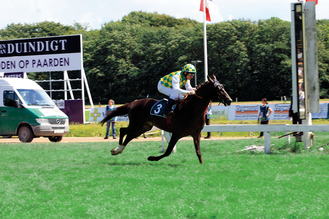 "«إيجاد» حقق الفوز بكأس الوثبة بفارق كبير"