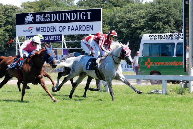 "الريان\" بطل كأس الشيخ زايد \t\tتصوير مرهف العساف"