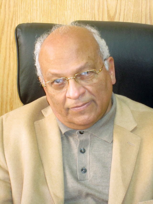 "جمال الغيطاني"