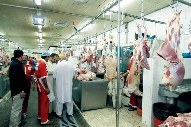 "تصوير: عماد علاءالدين"