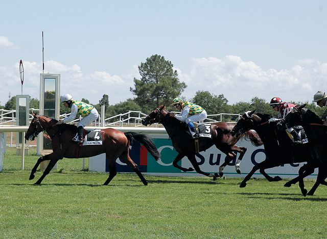 "انطلاقة قوية لـ\"شقرا دي جوس\" نحو المقدمة\t من المصدر"