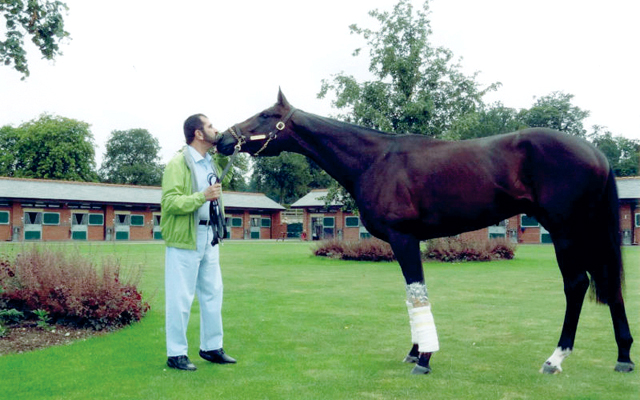 "تواصل الفارس مع الفرس"