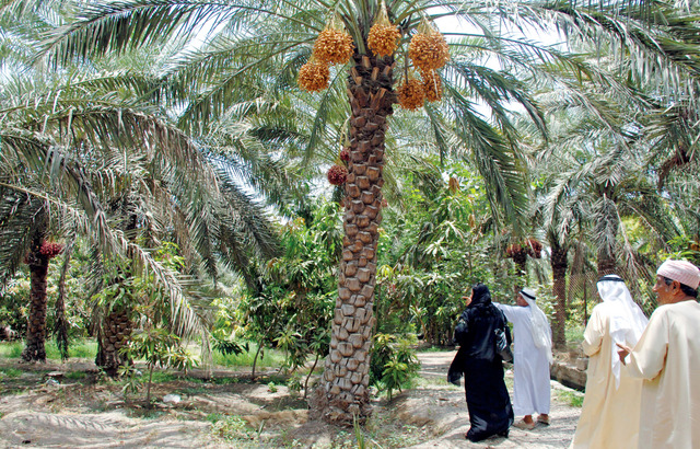 "تعشق البقاء في أجواء الطبيعة والبساطة التي اعتادتها"