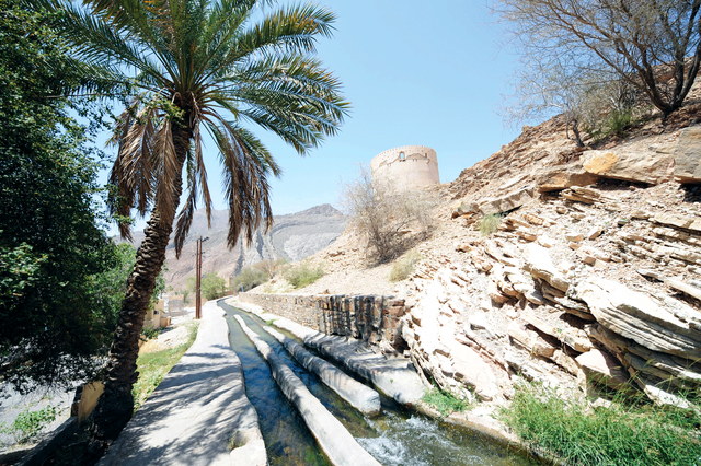 "فلج الخطمين"