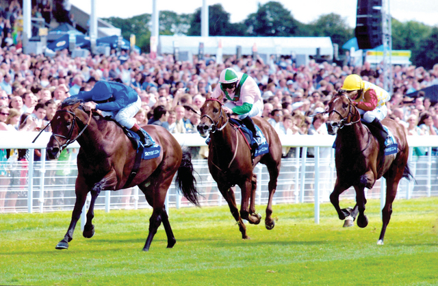 "خيول جودلفين في مواجهة التحدي اليوم ارشيفية"