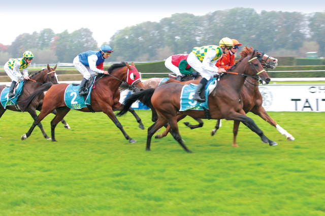 "اقوى الخيول العربية تشارك في السباقات ارشيفية"