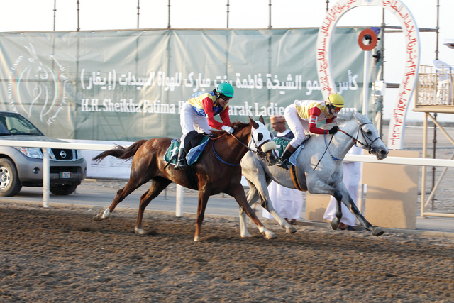 "اهتمام «أم الإمارات» ساهم بمشاركة السيدات في السباقات ارشيفية"
