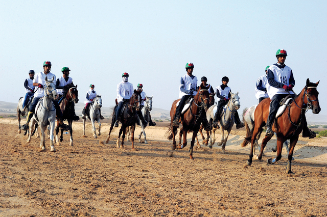 "من سباقات القدرة ببوذيب \t أرشيفية"
