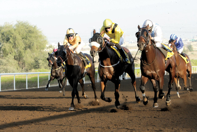 "صراع الأقوياء يبدأ اليوم في المضمار العائلي           أرشيفي ة"