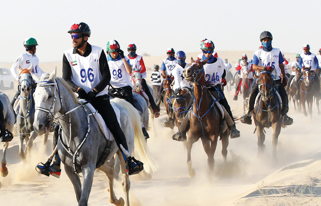 "أبرز الفرسان يشاركون في المهرجان\t البيان"