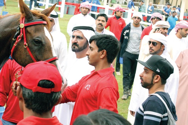 "..وسموه يربت على الخيل البطل تصوير - مرهف العساف"