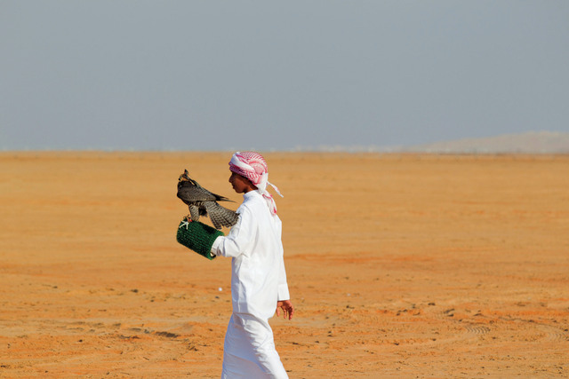 "من منافسات مسابقات أبوظبي للصيد بالصقور \t وام"
