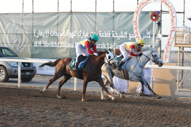 "دعم أم الإمارات ساهم في تطور سباقات الخيول للسيدات\tالبيان"