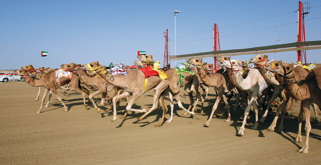 "صراع ساخن عند خط النهاية"