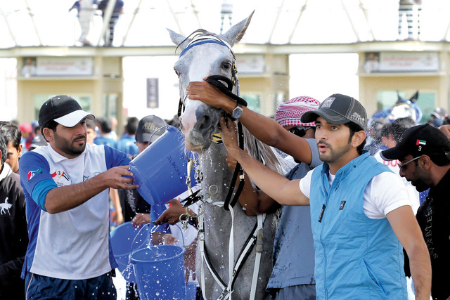 "حمدان بن محمد يطمئن على الجواد الفائز"