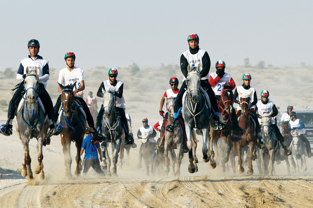 "الفرسان هدفهم انتزاع اللقب الغالي \tالبيان"