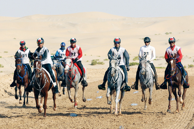 "المهرجان شهد مشاركة قياسيةمن الفرسان"
