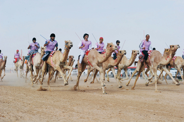 "جانب من سباقات مهرجان سويحان العام الماضي \tالبيان"