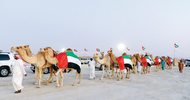 "من مزاينة الابل"