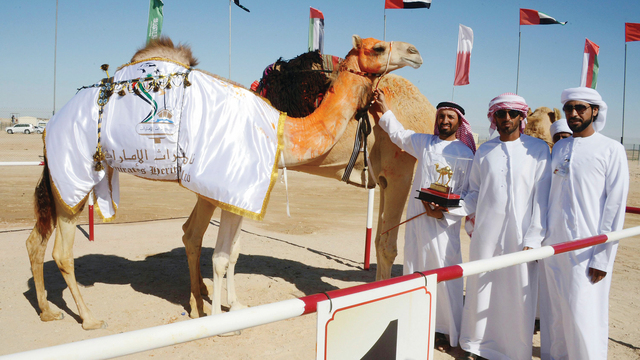 "الشبلة\" الفائزة في شوط الشيوخ\t\t وام"