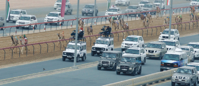 "متابعة كبيرة لسباقات الهجن"