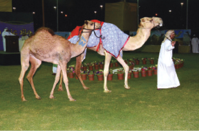 "جانب من المزاد"