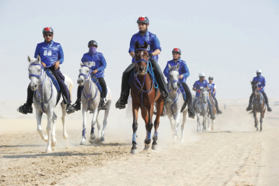 "نخبة الفرسان يشاركون فى مهرجان القدرة"