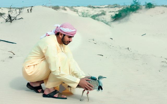 "حمد عاشق الحبارى\t\tتصوير- مجدي اسكندر"