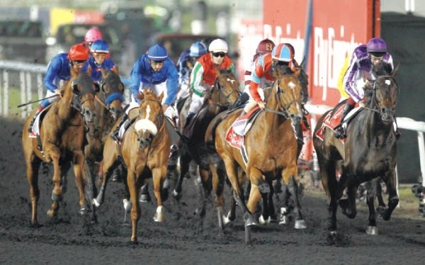 "نخبة خيول العالم هدفها اللقب الاغلى"