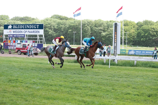 سباقان لكأس الوثبة في أميركا وبولندا اليوم