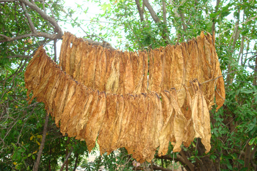 "صورة ارشيفية"